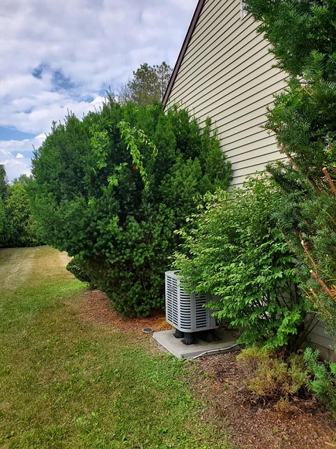 image6